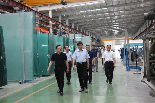 創新引領 促進民營企業高質量發展——省直專家服務組走進山東耀華玻璃公司開展診斷咨詢服務活動